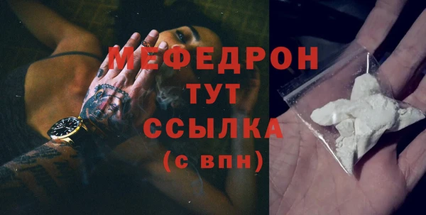 сатива Ельня