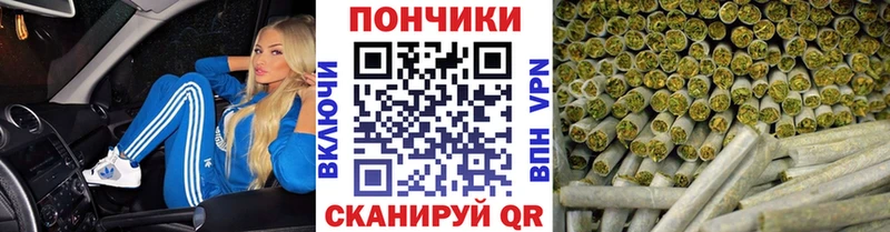 продажа наркотиков  Краснообск  Бошки Шишки сатива 